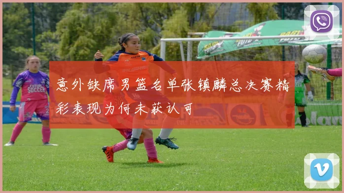 意外缺席男篮名单张镇麟总决赛精彩表现为何未获认可